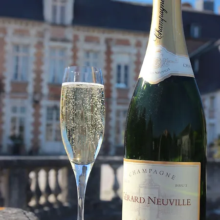 Le Chateau D'etoges - Champagne 4* 埃托日