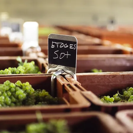 Le Chateau D'etoges - Champagne