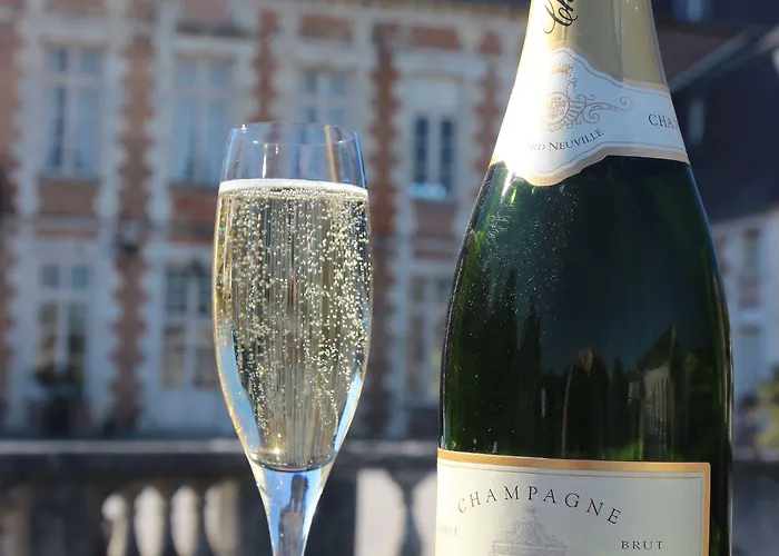 Le Château D'etoges - Les Collectionneurs 4* Étoges