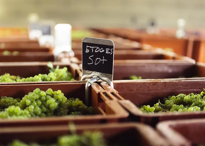 Le Château D'etoges - Les Collectionneurs